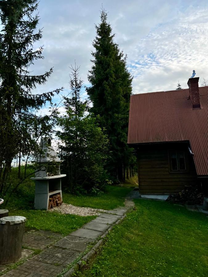 Domek Pod Modrzewiem Nowy Targ Exterior photo